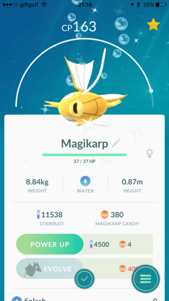 Pokémon Go #8: Don't mess with my Hoothoot