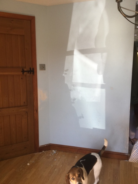 Read Mumsnetters’ feedback on Valspar Premium Blend v700 Walls & Ceilings Paint - £300 voucher to be won for feedback NOW CLOSED