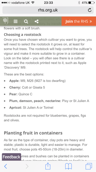 Allotment/Veg Patch -Thread  8 - Its spring - time to get busy!