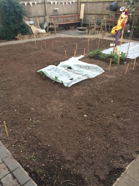 Allotment/Veg Patch -Thread  8 - Its spring - time to get busy!