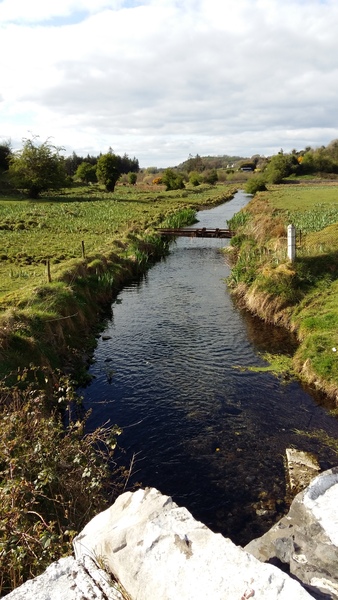 Money-managing Masterfully into May - Frugaleers unite!