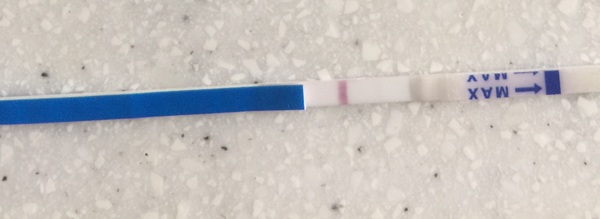 Another squinter. 12dpo IC with concentrated urine