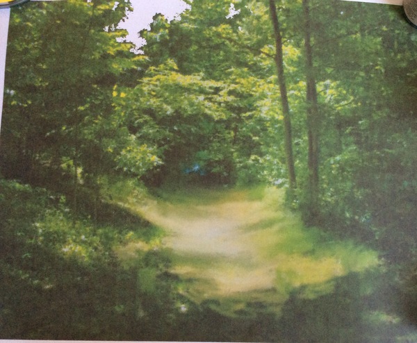 Any photographers, photoshoppers or artists who can help please?