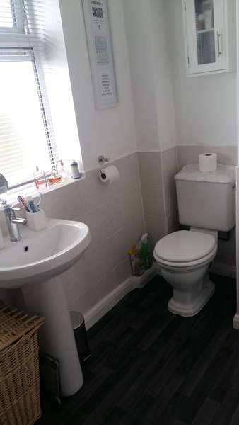 To ask to see your bathroom?