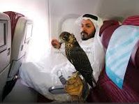 Flying Qatar at 22 weeks