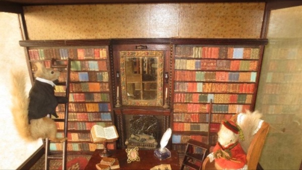 Is my hedgehog fucked? (Pics)