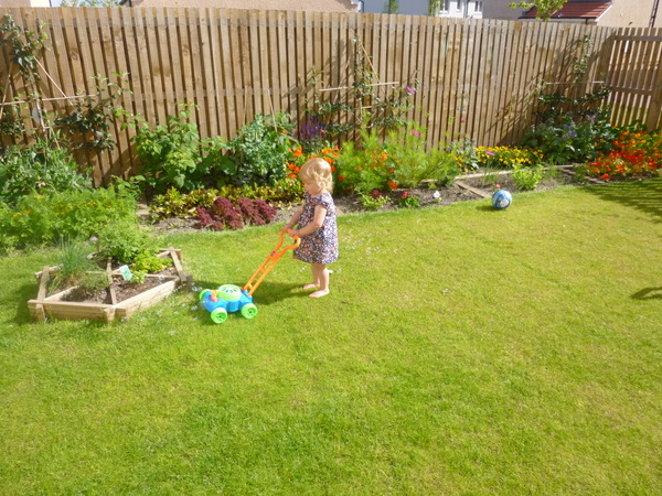 Allotment/Veg Patch -Thread  8 - Its spring - time to get busy!