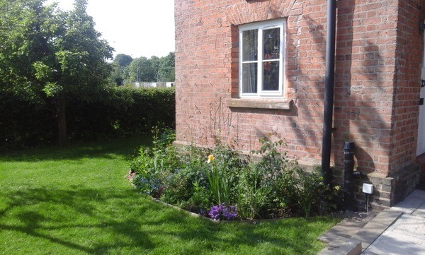 My new garden!