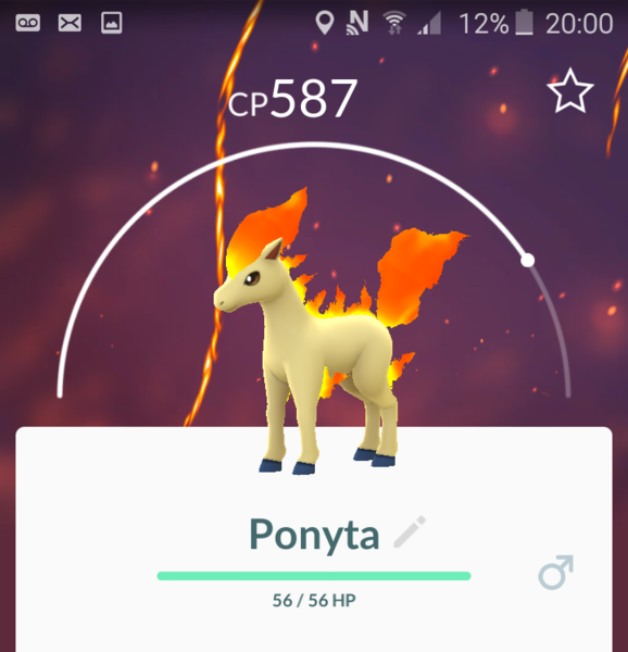 Pokémon Go #8: Don't mess with my Hoothoot