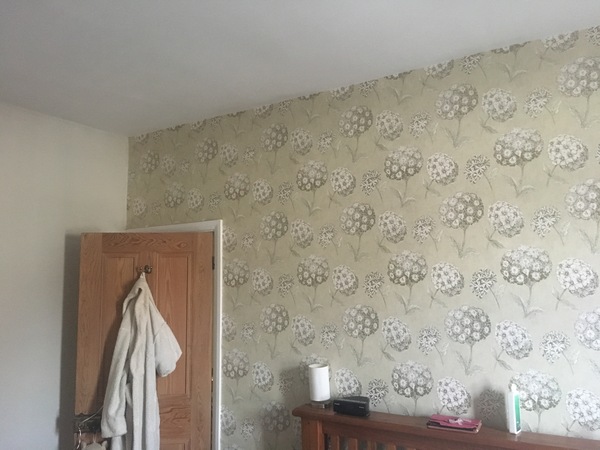 What colour bedding/curtains with this wallpaper?!