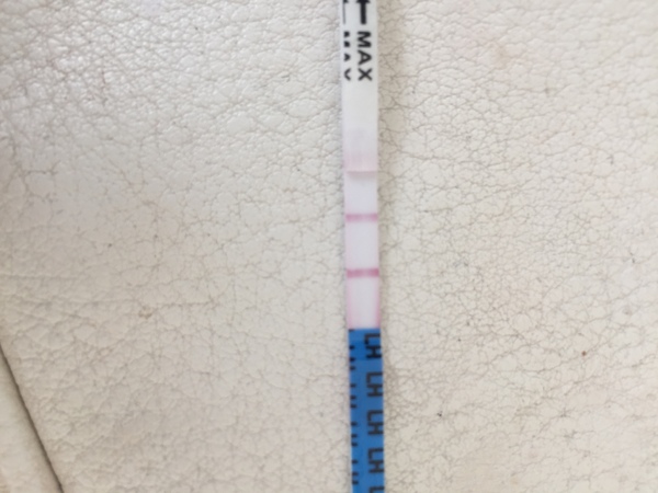 Ovulating?