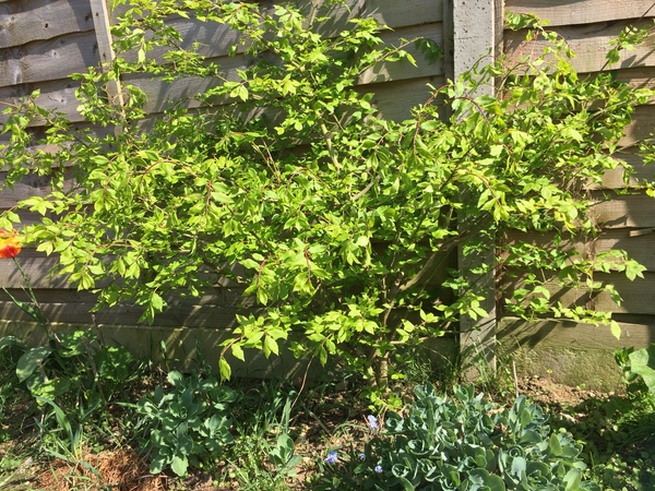 Any idea what this is??
