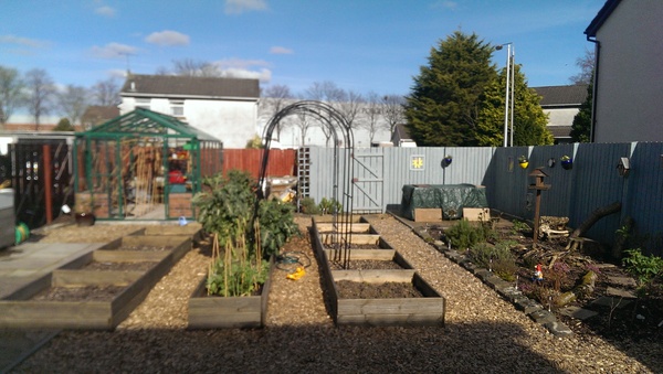Allotment/Veg Patch -Thread  8 - Its spring - time to get busy!