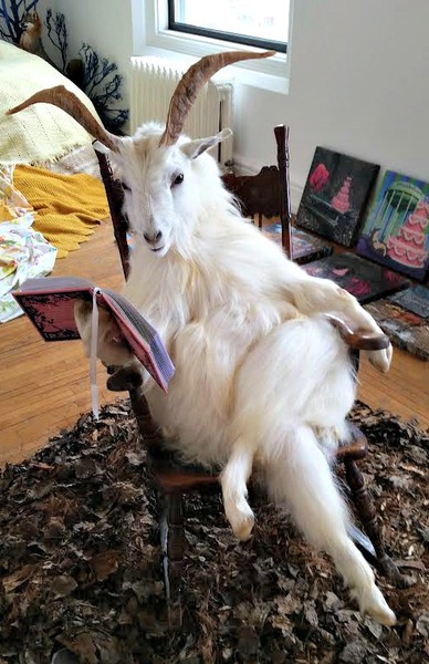 AIBU to want my goat?