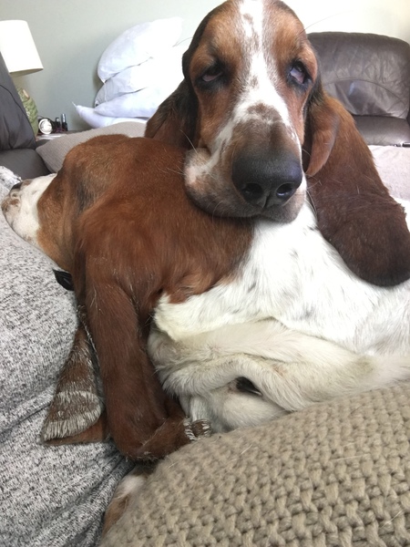 Our last week - Spring Low Carb Bootcamp