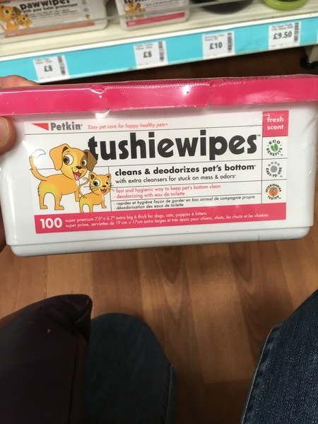 Long haired cat hygiene