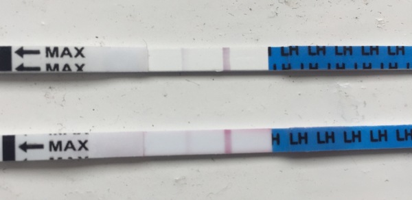 Ovulating?