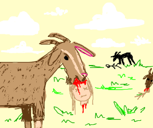 AIBU to want my goat?