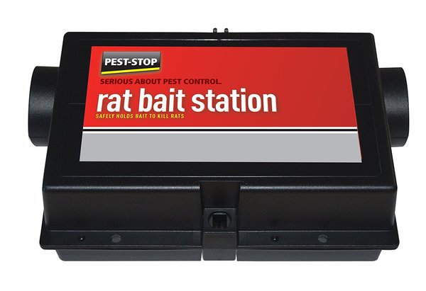 To report DC school for rats?