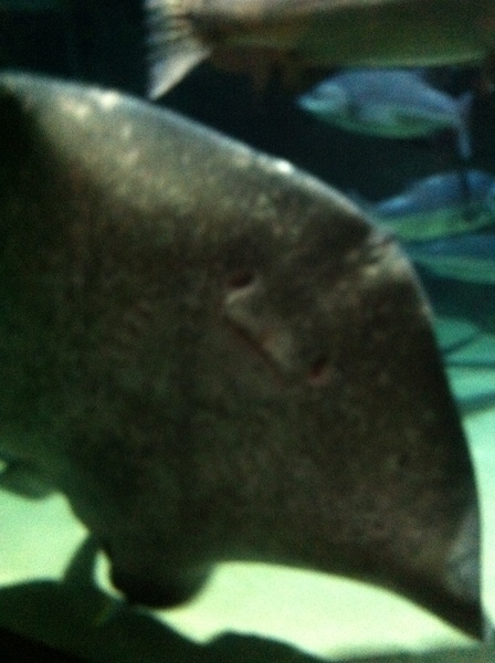 Frugaleers saving and chatting through April