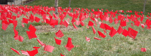 Can you help me decide. Not sure what red flags are.....