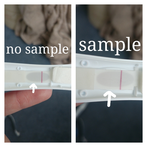 December 2017 babies