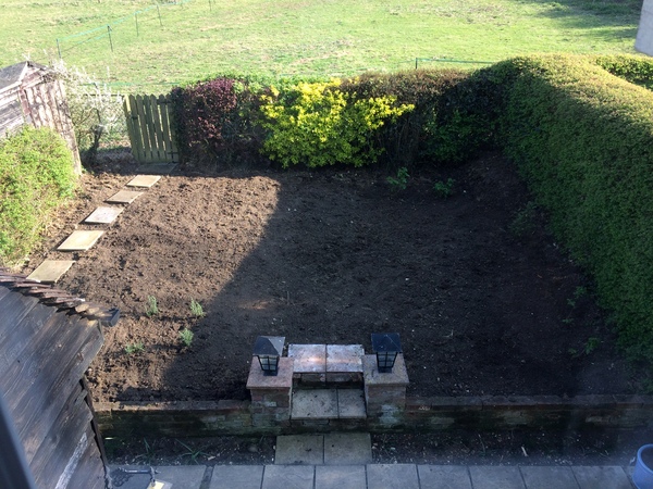 Allotment/Veg Patch -Thread  8 - Its spring - time to get busy!
