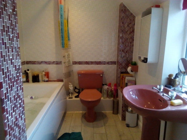To ask to see your bathroom?