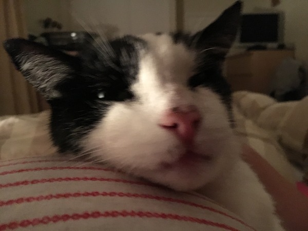 My beautiful boy is gone