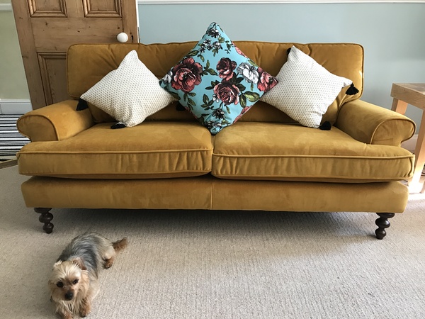 Sofa recommendations please!
