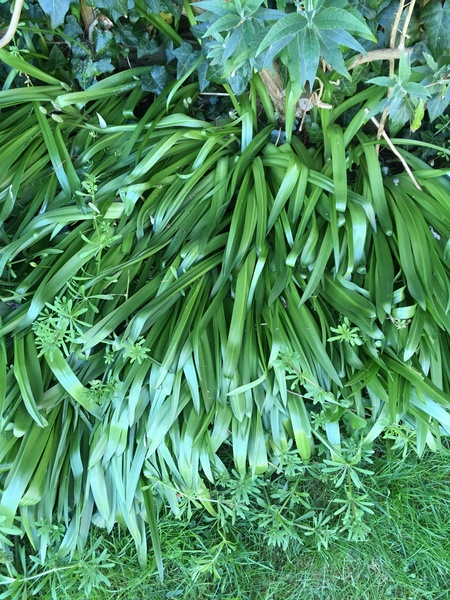 Please identify this!