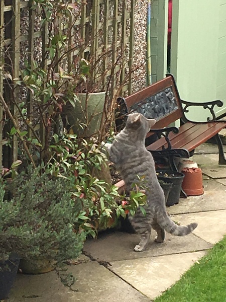 What's your dcat doing today?