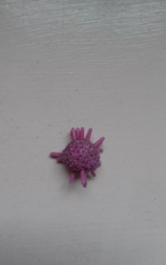 Battered Old Kitty Toy