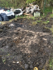 Allotment/Veg Patch -Thread  8 - Its spring - time to get busy!