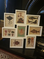 Due July 2017 #4 …… Well into 2nd Trimester! 20 Week Scans and Bumps Galore