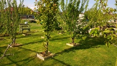 Allotment/Veg Patch -Thread  8 - Its spring - time to get busy!