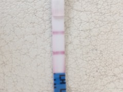 Ovulation help!!