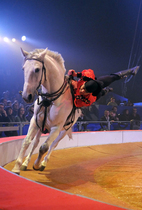 MERTON'S FAVOURITE CIRCUS IS BACK!