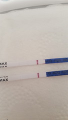 Is it a line? Time for some wine? Yep, it's TTC after miscarriage thread number nine.