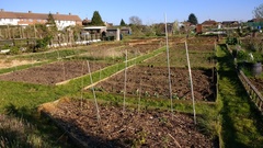 Allotment/Veg Patch -Thread  8 - Its spring - time to get busy!