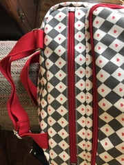 Pink Lining Wonderbag