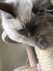 Devastated over the loss of my boy