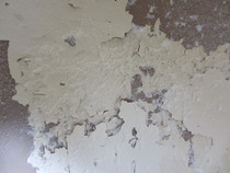 Frugaleers saving and chatting through April