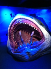 Frugaleers saving and chatting through April