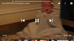 *Trigger Warning* AIBU to not understand how this YouTuber isn't being investigated for child abuse?