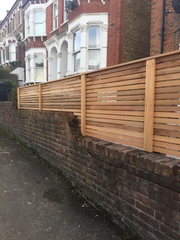 Anyone know about planting a hedge?