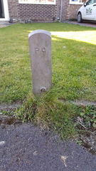 Anyone know what this is?
