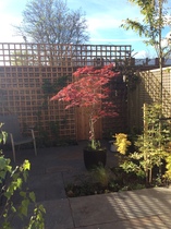 The first rule of potting shed is YOU ALWAYS talk about potting shed. The thread continues.