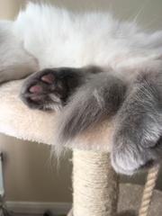Devastated over the loss of my boy