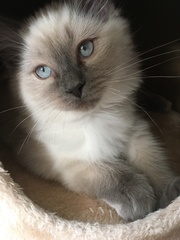 Devastated over the loss of my boy